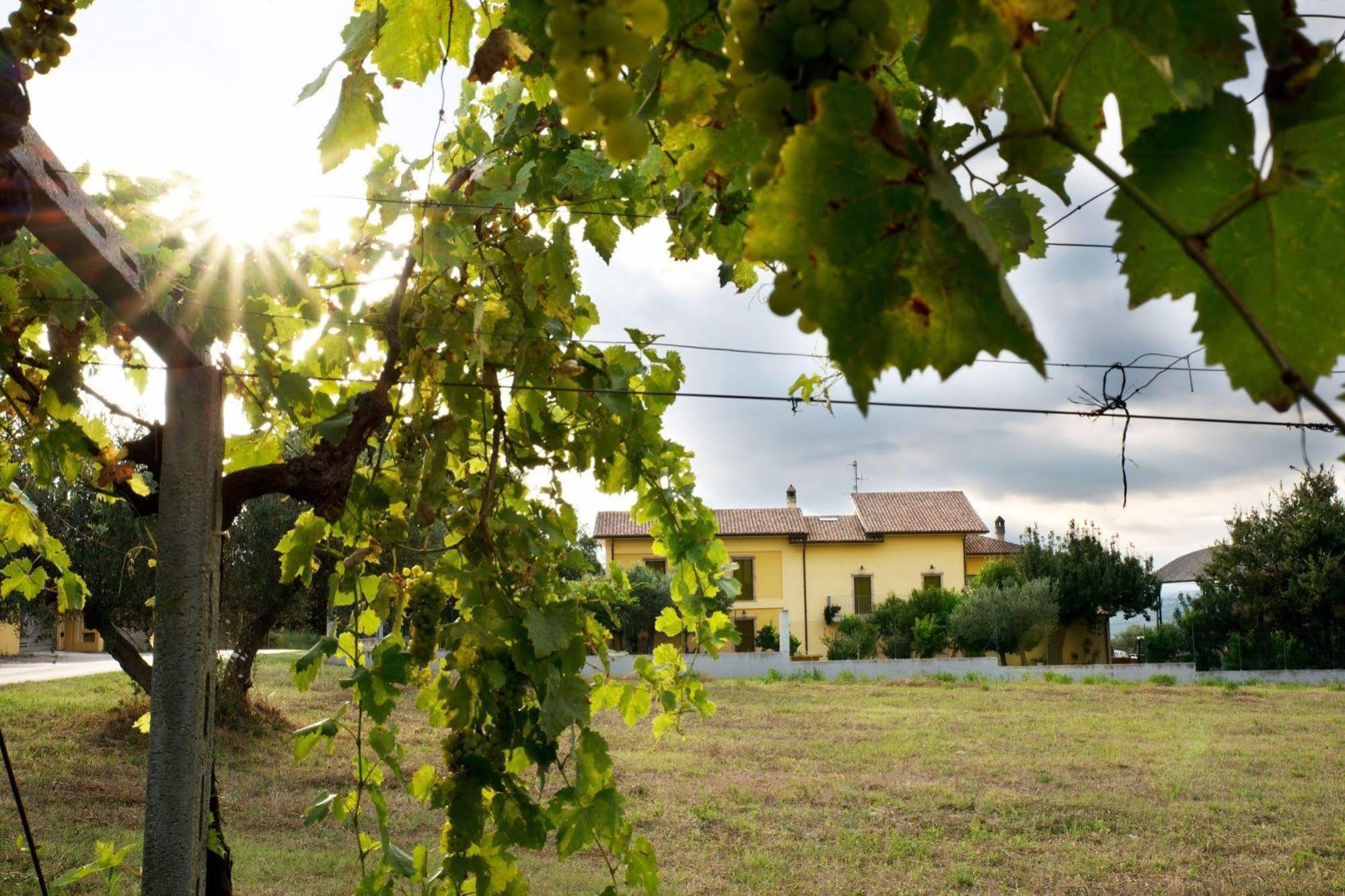 Agriturismo Il Casolare Di Nonno Mario Manoppello Exteriör bild